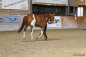 23-APHA SS_005